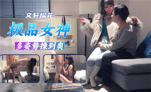 文轩探花极品女神多姿势狂操爽翻天